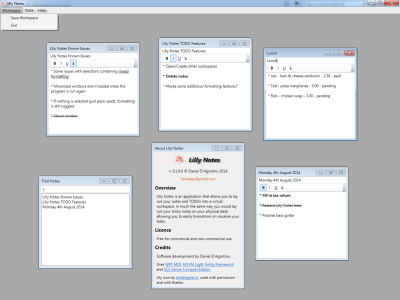 Screenshot of Lilly Notes beta release (0.1.0.0)