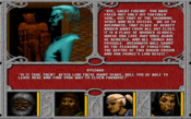 The Elven Warrior and the three sisters can now find peace The Elven Warrior and the three sisters can now find peace