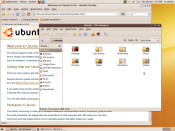 Ubuntu 9.10 x86 with two virtual desktops